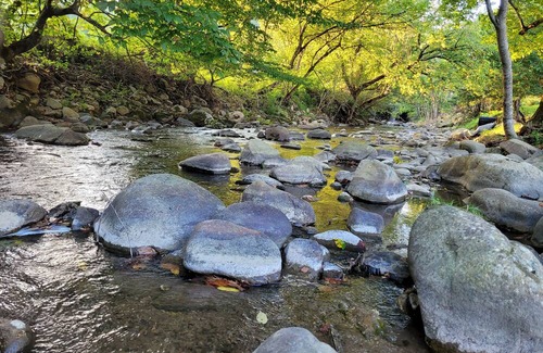 Del Rio Cabina | Enjoy Mother Nature and Spring at The Spot!