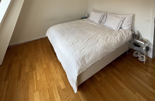 Werd Apartamento | Spacious 3-room two story flat available for sublet Mid- March, April, and May