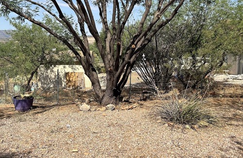 Rio Rico Northeast Casa | "Rio Rico Serenity: Your Ultimate Vacation Haven Awaits!"