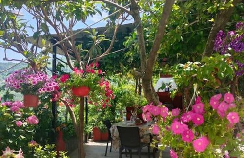 Makrirrakhi Apartamento | Hara s House Pelion
