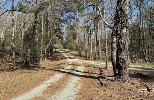 Bynum Cabina | Cute Cabin in the woods ideal for couples