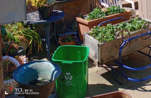 Pinole Apartamento | Excellent privacy on this Hill