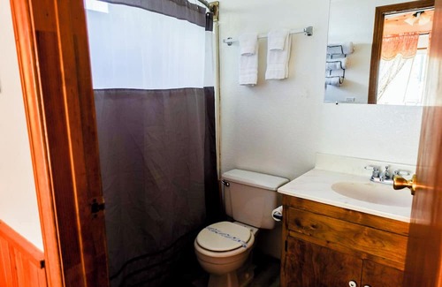 Crestline Apartamento | Grey Squirrel in Crestline Mountains