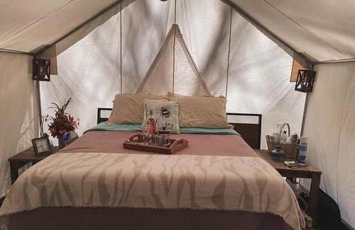 Turtletown Alquiler De RV | Camping with a Twist
