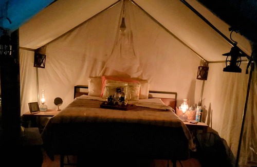 Turtletown Alquiler De RV | Camping with a Twist