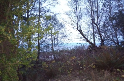 Neah Bay Casa | Comfortable 3 bed house in Neah Bay, WA. Close to local attractions & amenities!