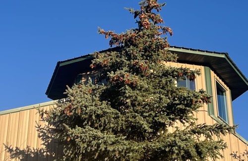 Cedaredge Apartamento | Farm Stay Guest Apartment on Private Orchard with Goats!