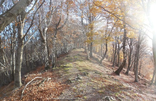 Castel San Pietro Apartamento | Panorama apartment on Monte Generoso