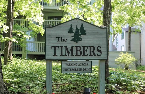 Wintergreen Condominio | Timbers Studio 45 with Wintergreen Advantage