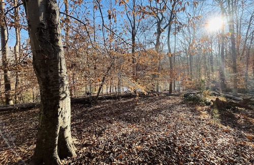 Clemmons Cabaña | Escape to our cozy cottages nestled in Tanglewood Park's peaceful woods