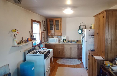 Keuka Park Cabina | Rustic sanctuary surrounded by pines, deer and wildlife but close to everything!