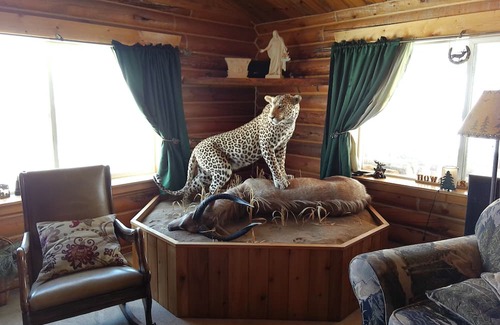 Pinedale Casa | "The Wild Rose"....... a room for rent