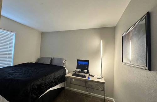 Acton Casa | Midnight Oasis Basketball Court