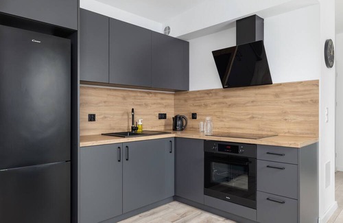 Katowice Apartamento | Kościuszki Apartment Katowice by Renters