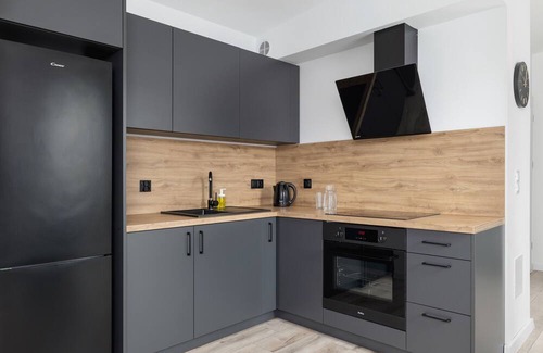 Katowice Apartamento | Kościuszki Apartment Katowice by Renters