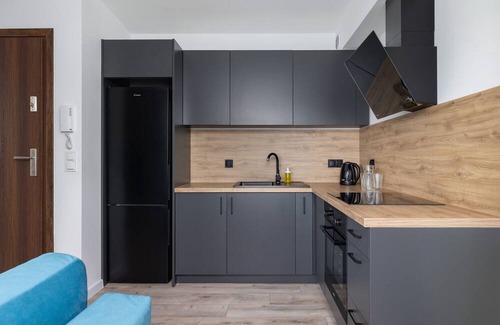 Katowice Apartamento | Kościuszki Apartment Katowice by Renters