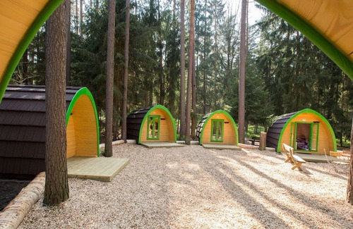 Pleinfeld Cabina | Tinyhaus mit Dachterrasse - Waldcamping Brombach