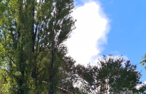 Candresse Casa | Domaine du Moulin de Candresse Le Moulin à eau 10mn de Dax, 35 mn de L'océan