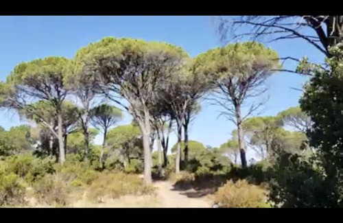Vidauban Casa | Entre Terre et mer Gite de Groupe à Partir de 1 Nuit