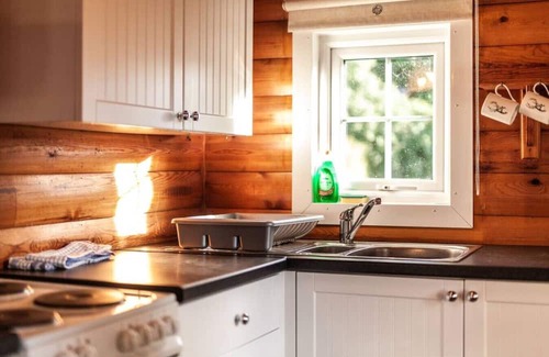 Ffestiniog Cabina | Brenin 3 Bedroom rural wood Lodge nr Coed y Brenin