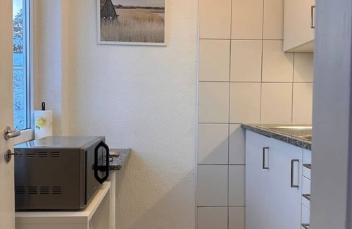 Hoengg Apartamento | Gemütliches Apartment mit Einem Schlafzimmer in Zürich Höngg