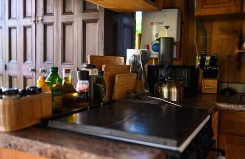 Rogers Casa | Secluded cabin w/ Finnish Sauna & Forest Baths