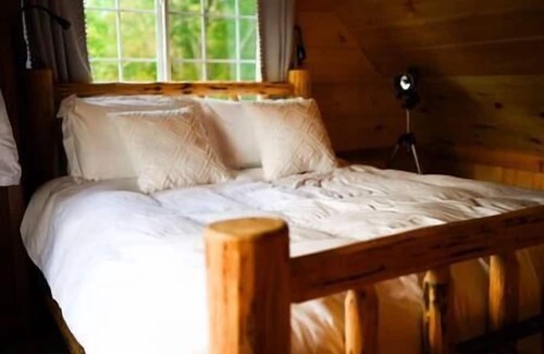 Rogers Casa | Secluded cabin w/ Finnish Sauna & Forest Baths