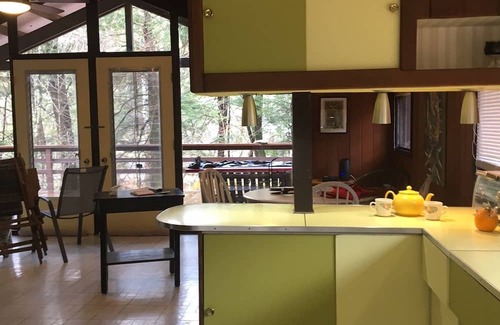 Phoenicia Cabaña | IMMERSE YOURSELF IN NATURE PET FRIENDLY FISH FROM YOUR FRONT DOOR