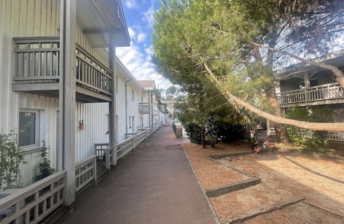 Le Canon Apartamento | Apartment 'Appartement Terrasse Ref46' with Shared Pool, Private Terrace and Wi-Fi