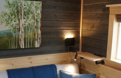 Pine Cabina | Tiny Cabin, Cozy in the Mountains - Pine Grove, Colorado