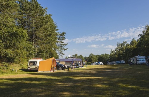 Wilsum Alquiler De RV | In the morning you wake up to the chirping birds and the sun's rays invite you to come outside. Become one with nature and come and enjoy a relaxed and wonderful holiday!