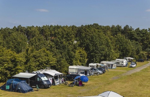 Wilsum Alquiler De RV | Stay on a pet-free camping spot in the Wilsumer Berge!