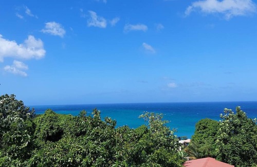 Port Antonio Apartamento | Alex,'s place AT Tim Pappies Elegant well appointed unit