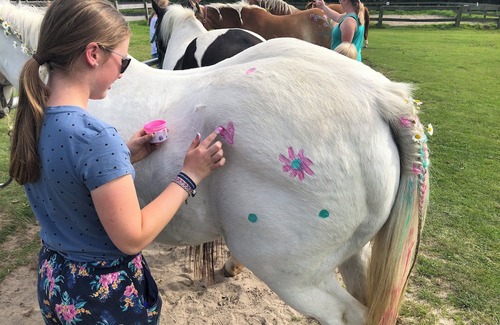 Holtgast Apartamento | Wohnung 4 auf dem Ferienhof Eilts -viele Ponys und Sonstige Tiere in Nordseenähe