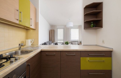 Katowice Apartamento | Grey Apartment in Katowice by Renters