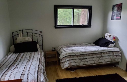 Amherst Cabaña | In-Town Cottage with in-Woods vibe