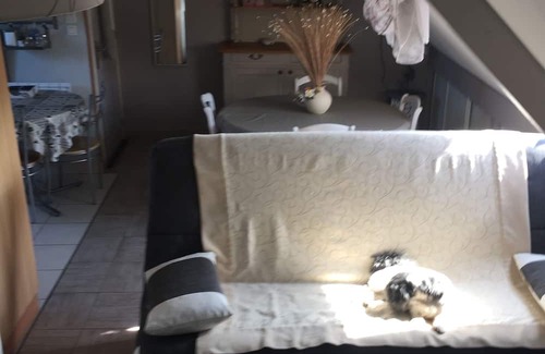 Lanvallay Apartamento | Joli gîte en bretagne , au pied de Dinan France