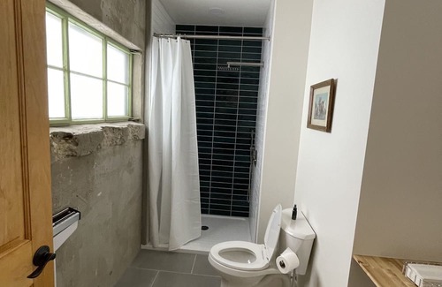 Lewis Casa | Modern Downtown Hostel! Great outdoor space, large sauna, and cold tub.