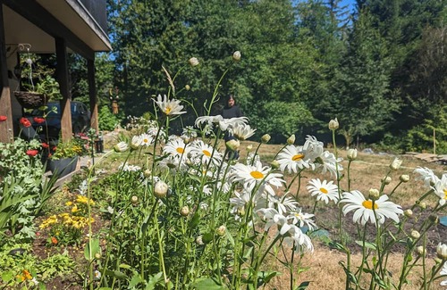 Otter Point Casa | A serene place by the lake.