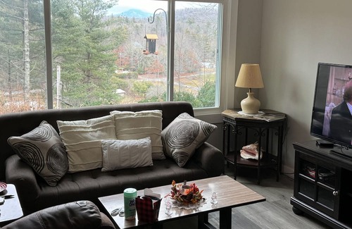 Crossnore Cabaña | Dog-friendly all-season cottage with mountain views, firepit, grill, AC, & W/D
