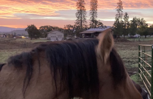 Eagle Point Otro | Open for the Holidays