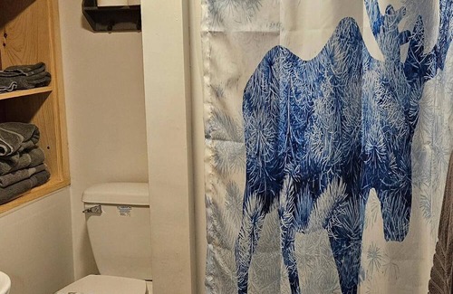 Kennebunk Cabina | Don’t forget your dogs!