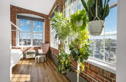 Downtown Apartamento | A Boho Paradise