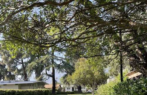 East Pasadena Apartamento | One-story 4 bedrooms, 1.5 bathrooms in Pasadena