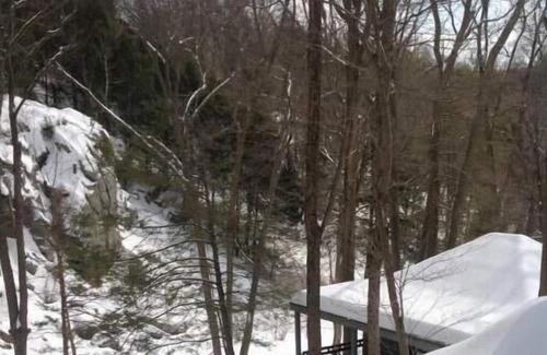 Bedford Cabaña | Adirondacks in Westchester 2