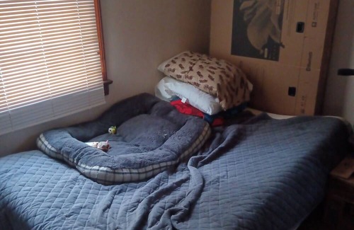 Lyndon Casa | 4 rooms for rent