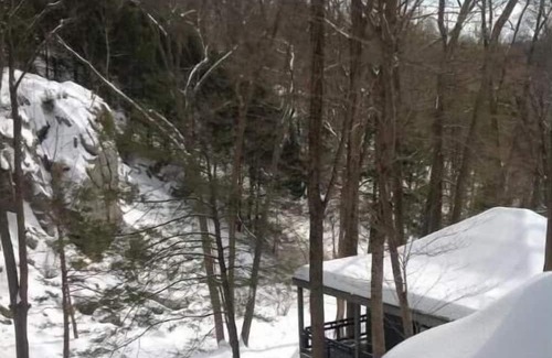 Pound Ridge Cabaña | Adirondacks in Westchester