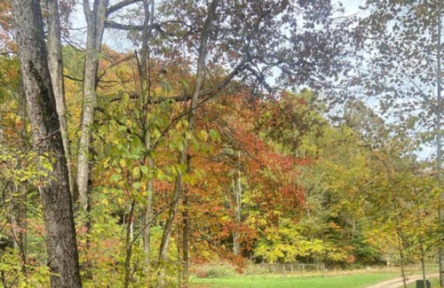 Means Cabina | Glamping Unit #5 - Punkin Hollow Resort