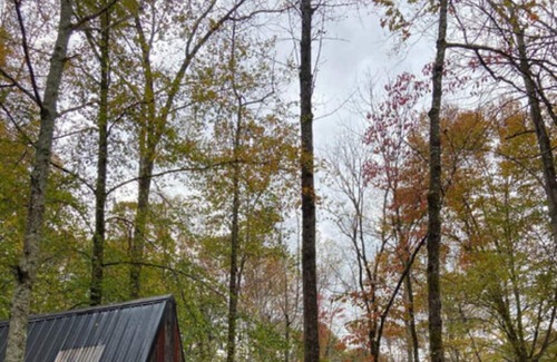 Means Cabina | Glamping Unit #2 - Punkin Hollow Resort