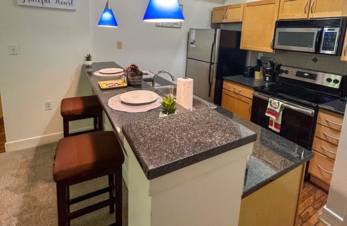Downtown Richmond Apartamento | The Sweet Spot w/City view/2bd 2bth/Parking/near VCU